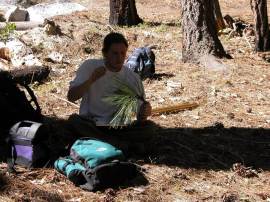 california sampling in action