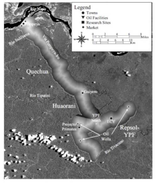 deforestation map ecuador