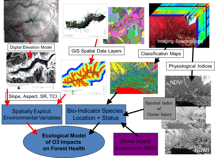 med ozone pines phd schematic