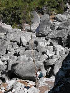 pruning pole yosemite