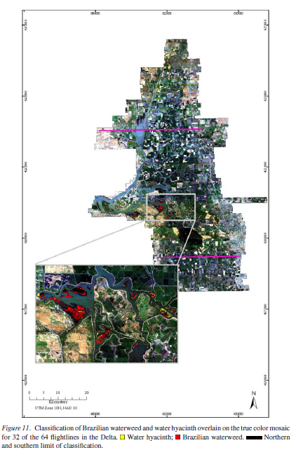 species classification delta project