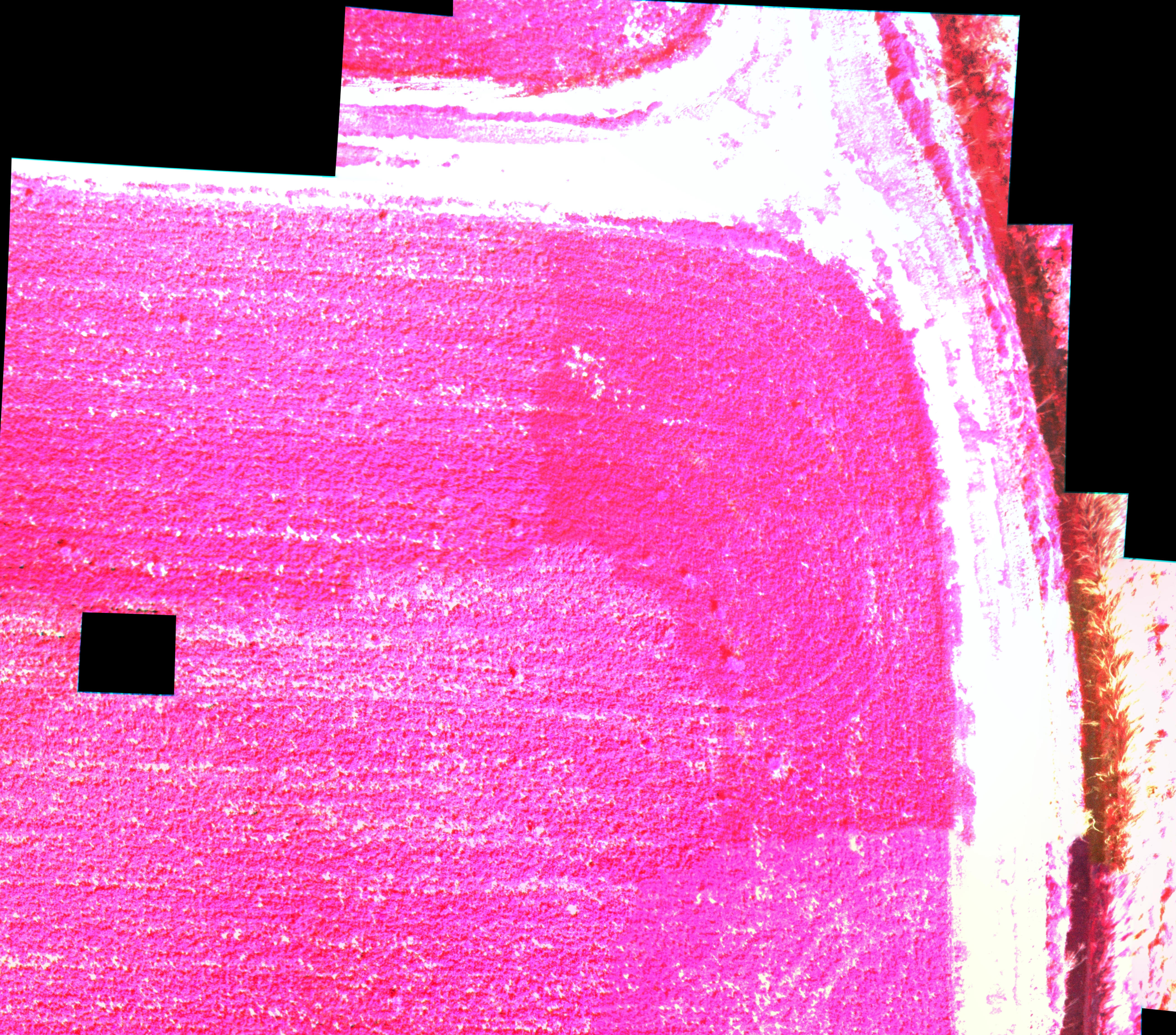 CIR-TTC00765R_Extract_stitch