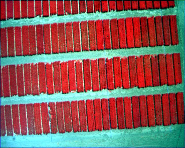 Valladolid_Reg_TTC00243_8R